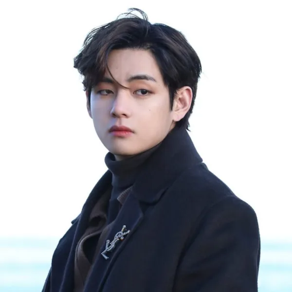 bts v